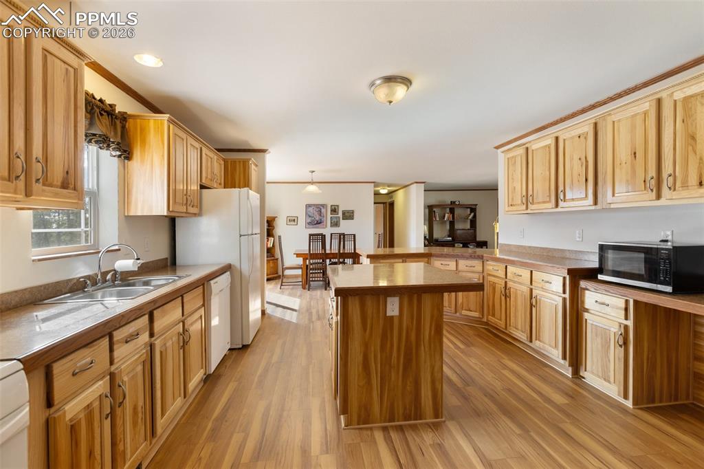 109 Pawnee Place Florissant CO 80816