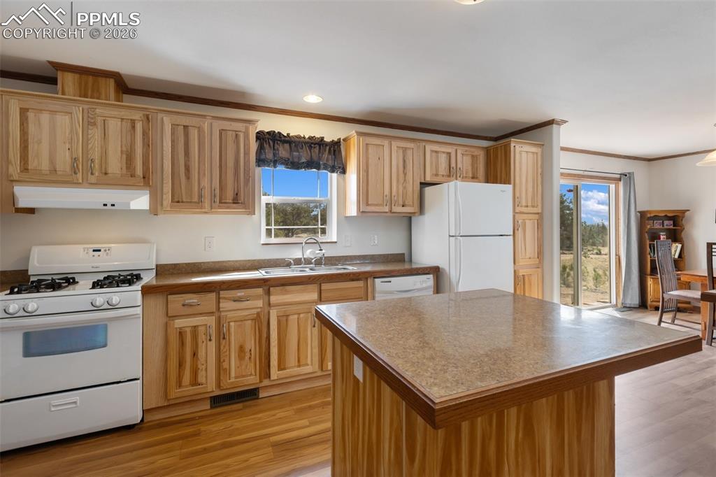109 Pawnee Place Florissant CO 80816