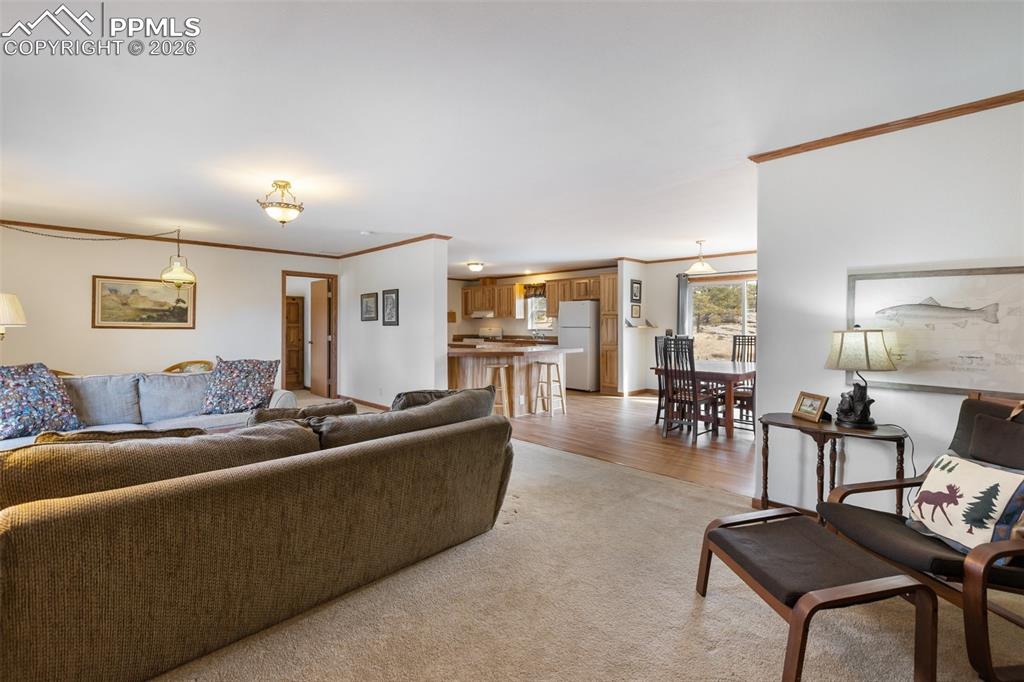 109 Pawnee Place Florissant CO 80816