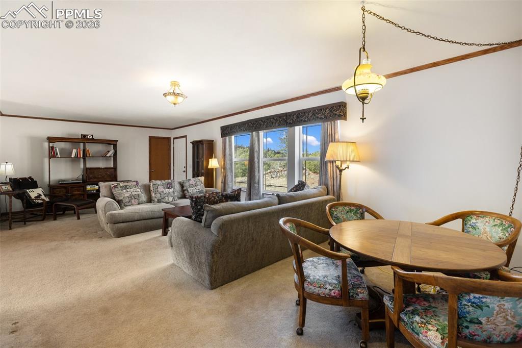 109 Pawnee Place Florissant CO 80816