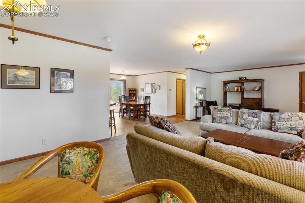 109 Pawnee Place Florissant CO 80816