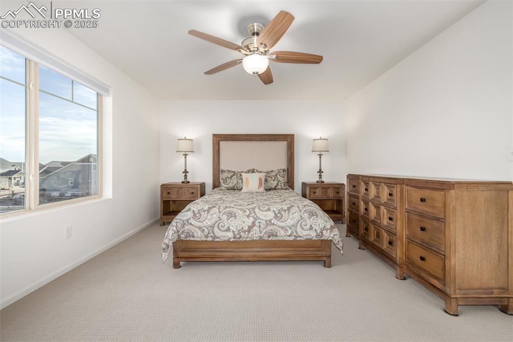 7317 Weatherwood Drive Colorado Springs CO 80927