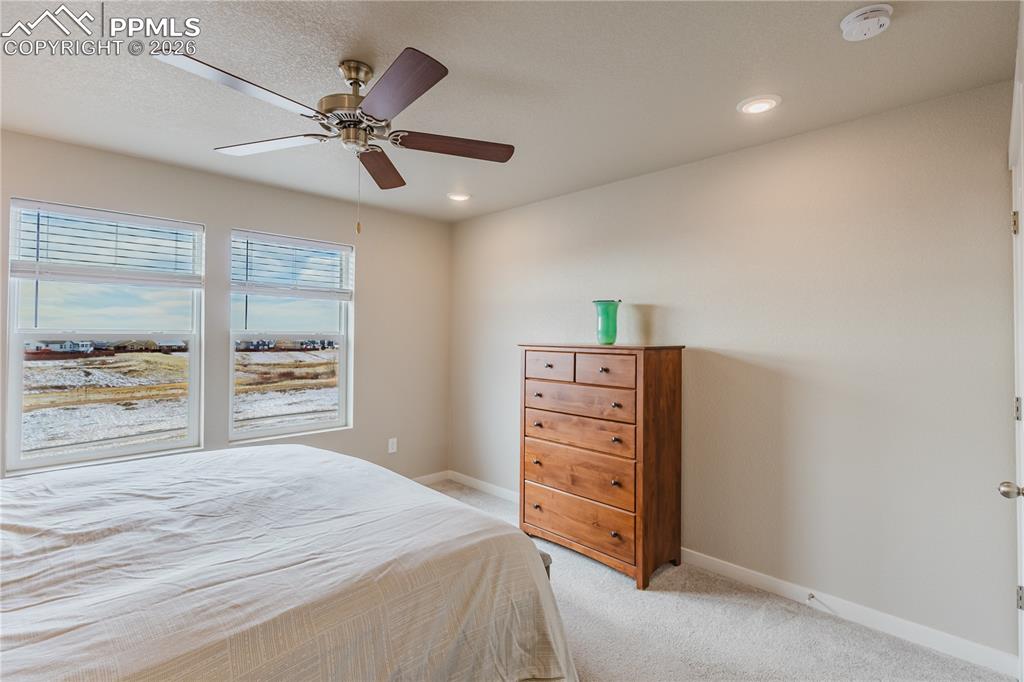 8019 Moosejaw Drive Colorado Springs CO 80908