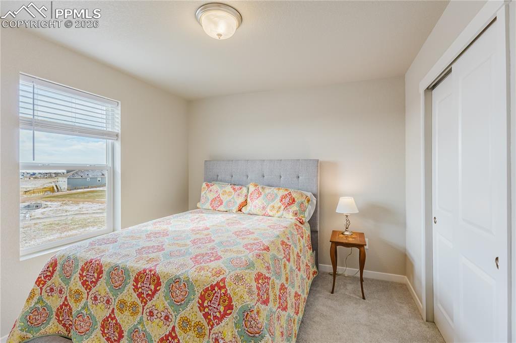 8019 Moosejaw Drive Colorado Springs CO 80908