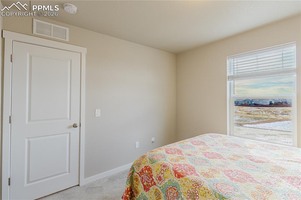 8019 Moosejaw Drive Colorado Springs CO 80908