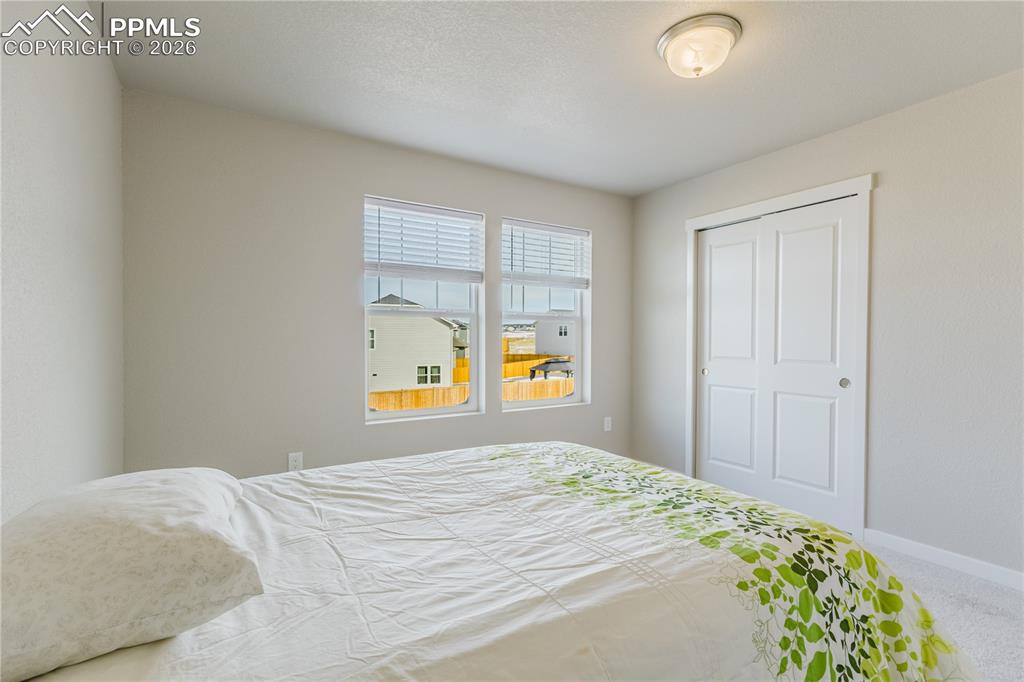 8019 Moosejaw Drive Colorado Springs CO 80908