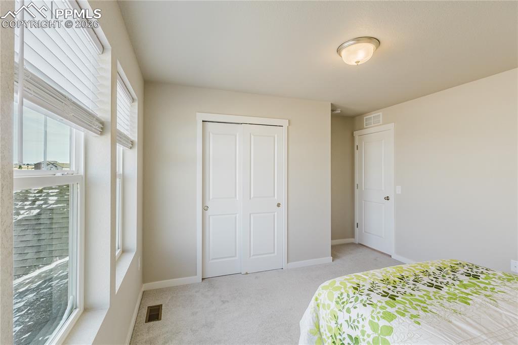 8019 Moosejaw Drive Colorado Springs CO 80908