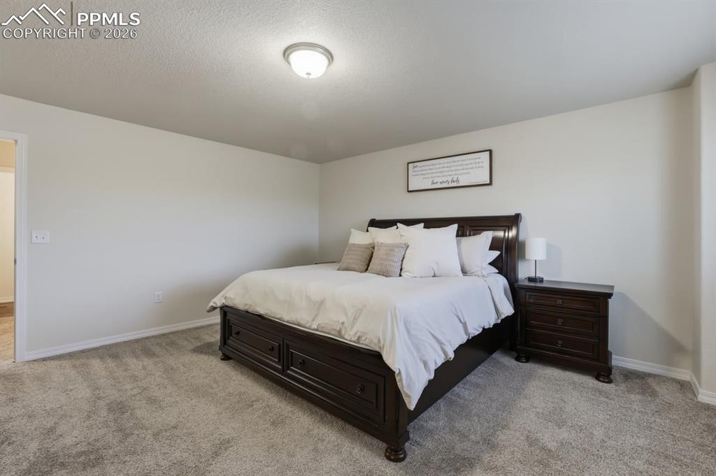 11109 Willmore Drive Peyton CO 80831