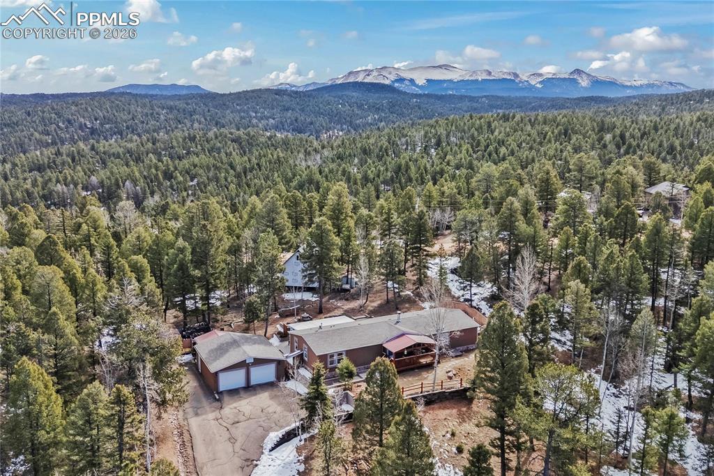 146 Kokwapy Court Florissant CO 80816