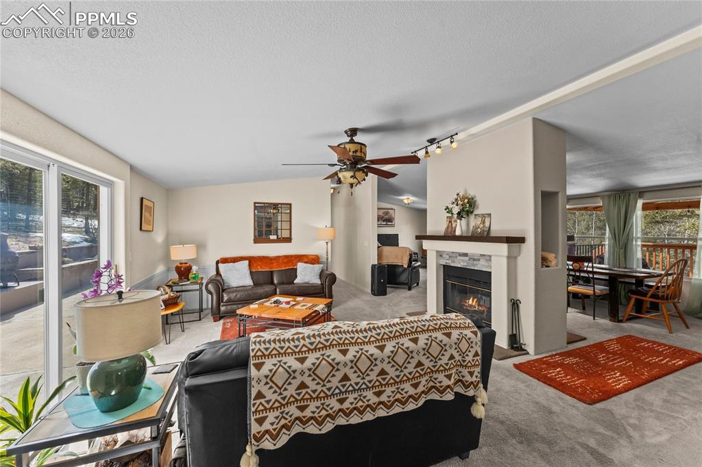 146 Kokwapy Court Florissant CO 80816