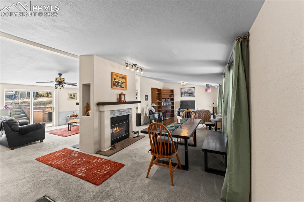 146 Kokwapy Court Florissant CO 80816