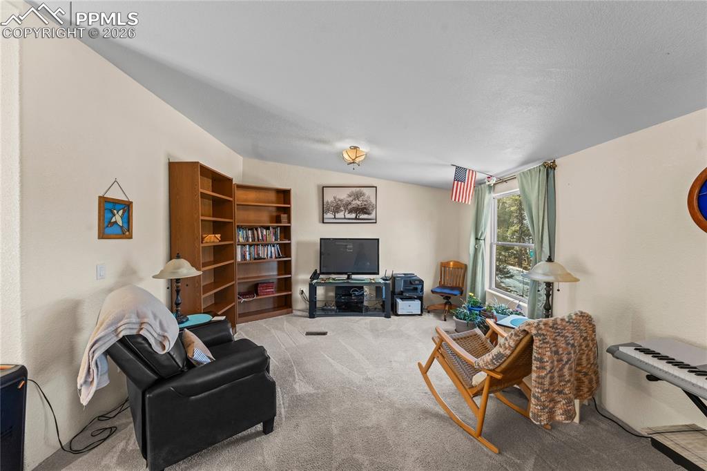 146 Kokwapy Court Florissant CO 80816