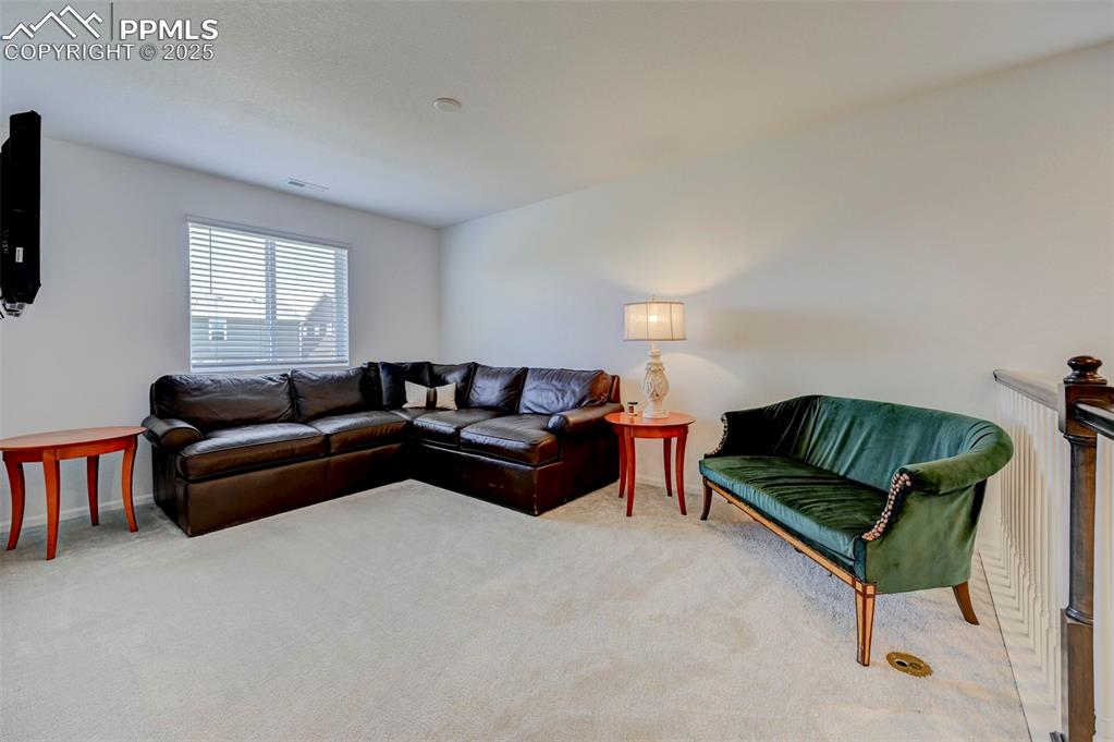 6237 Bodacious Circle Colorado Springs CO 80923