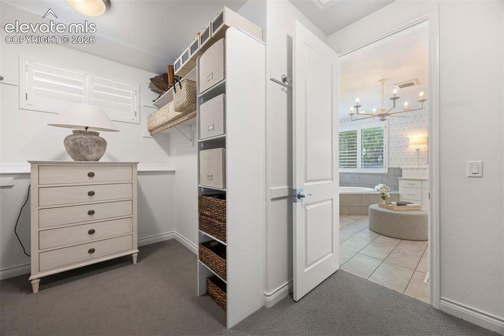 2151 Saddleback Drive Castle Rock CO 80104