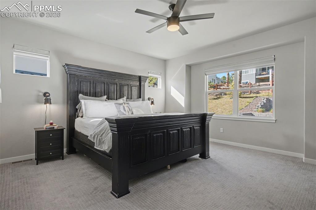 16439 Golden Sun Way Monument CO 80132