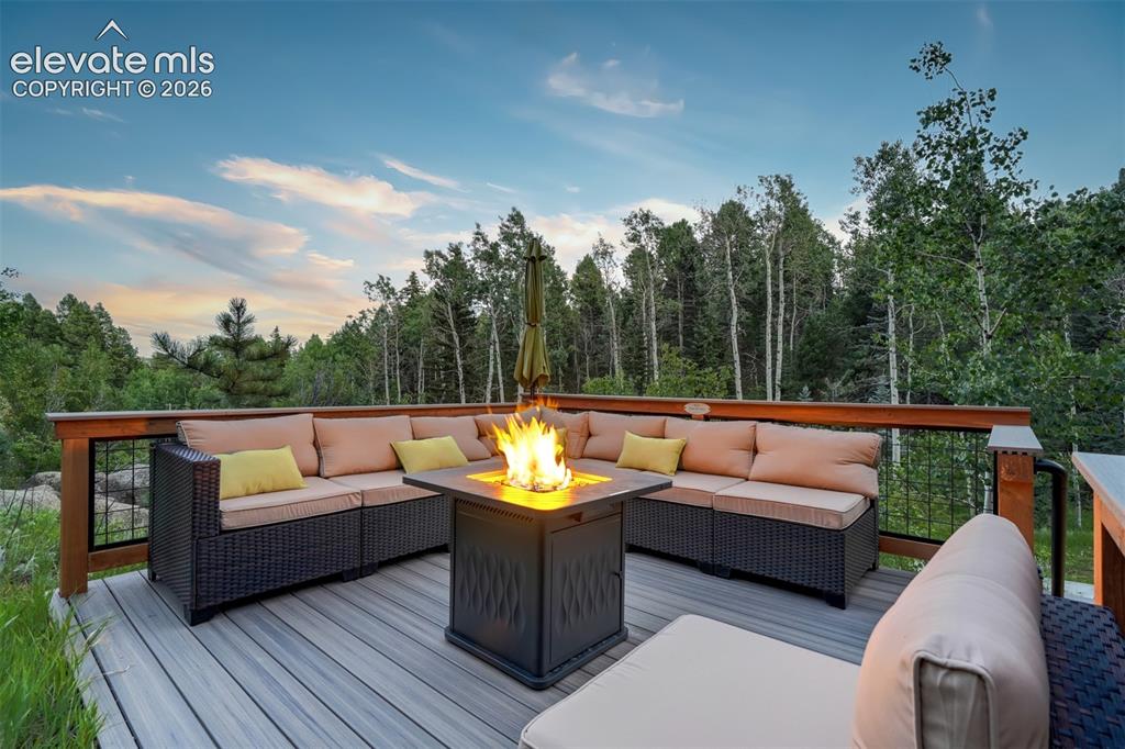 1460 Coyote Trail Woodland Park CO 80863
