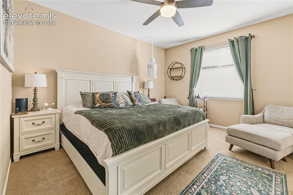 7127 Mountain Spruce Drive Colorado Springs CO 80927