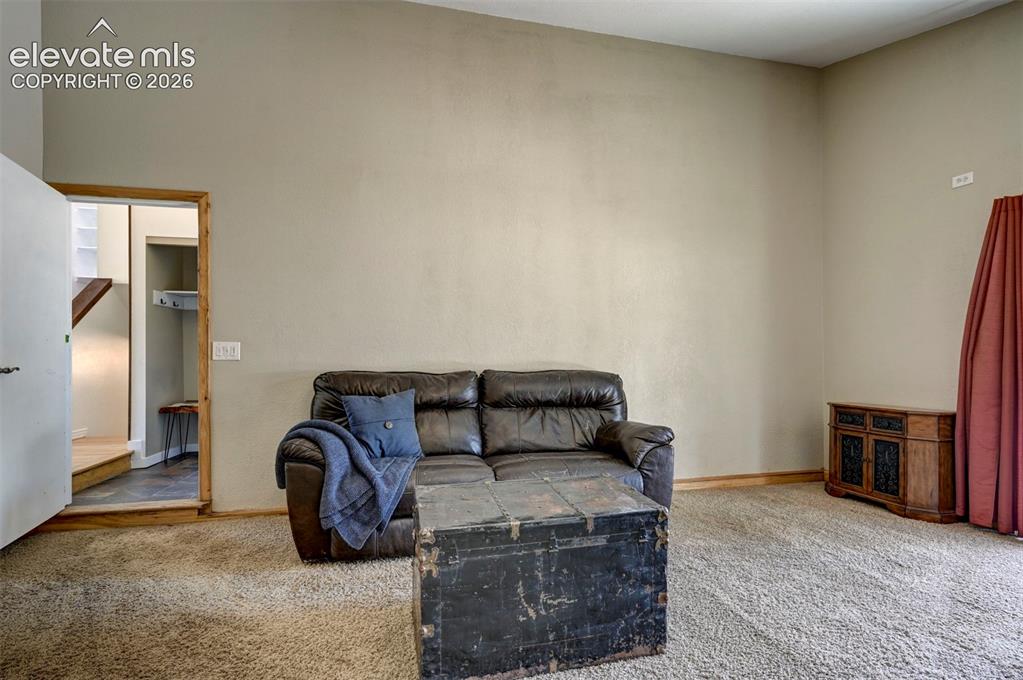 455 Red Feather Lane Woodland Park CO 80863