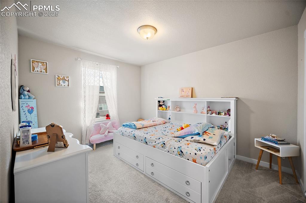 8161 Goldenray Place Colorado Springs CO 80908