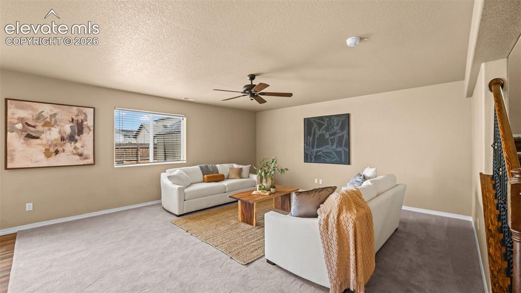 3704 Chia Drive Colorado Springs CO 80925