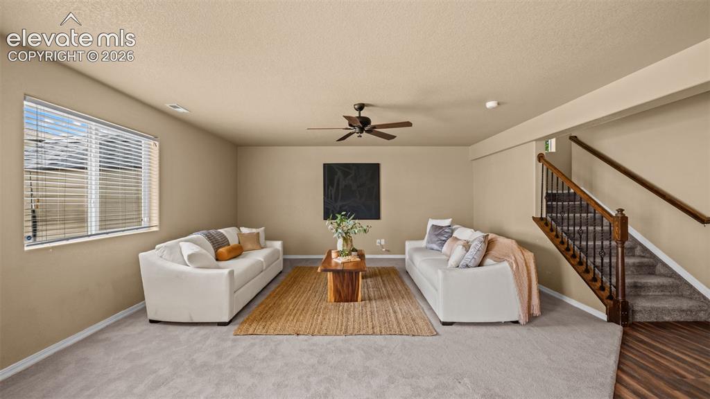 3704 Chia Drive Colorado Springs CO 80925