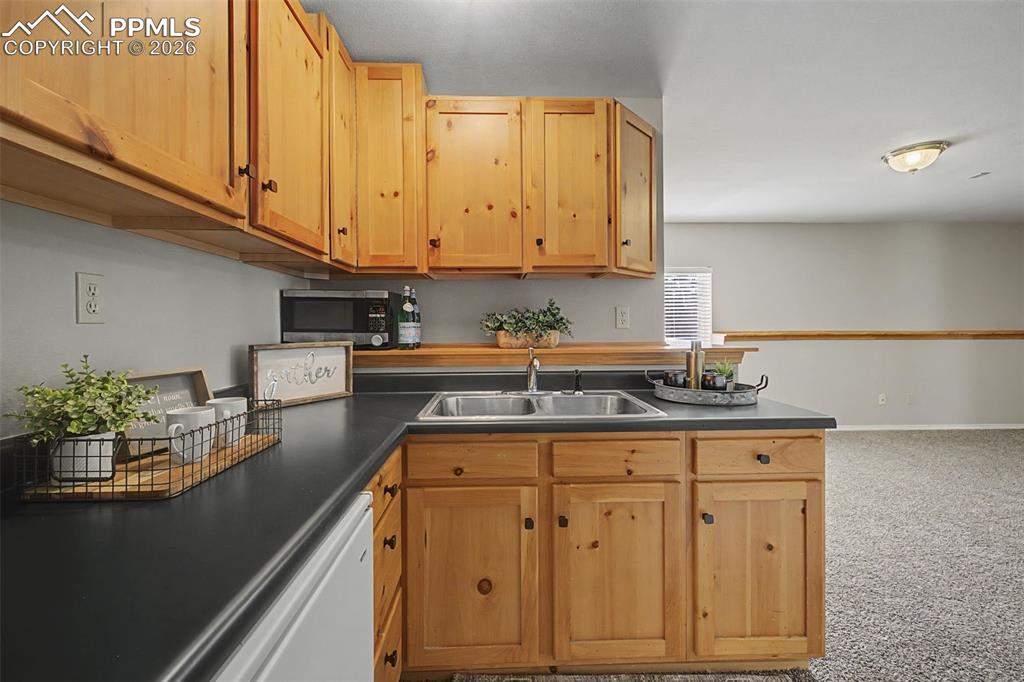 7665 Calloway Court Colorado Springs CO 80919