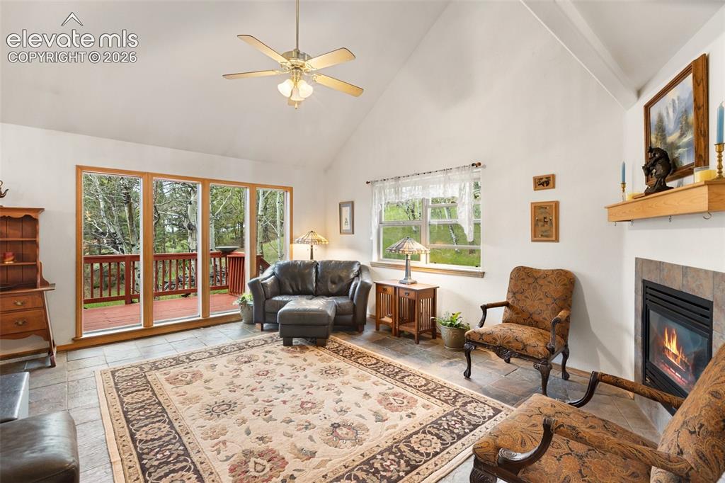 996 Spring Valley Drive Divide CO 80814