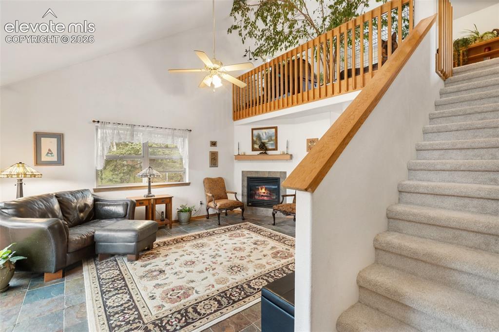 996 Spring Valley Drive Divide CO 80814