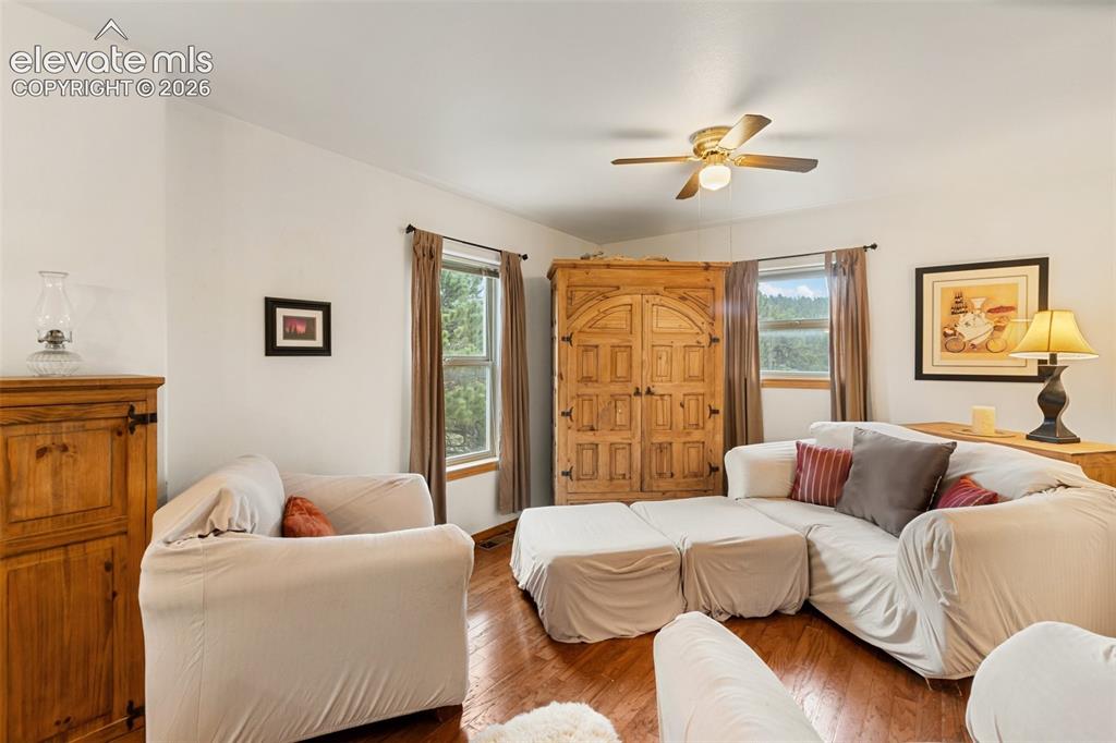 996 Spring Valley Drive Divide CO 80814