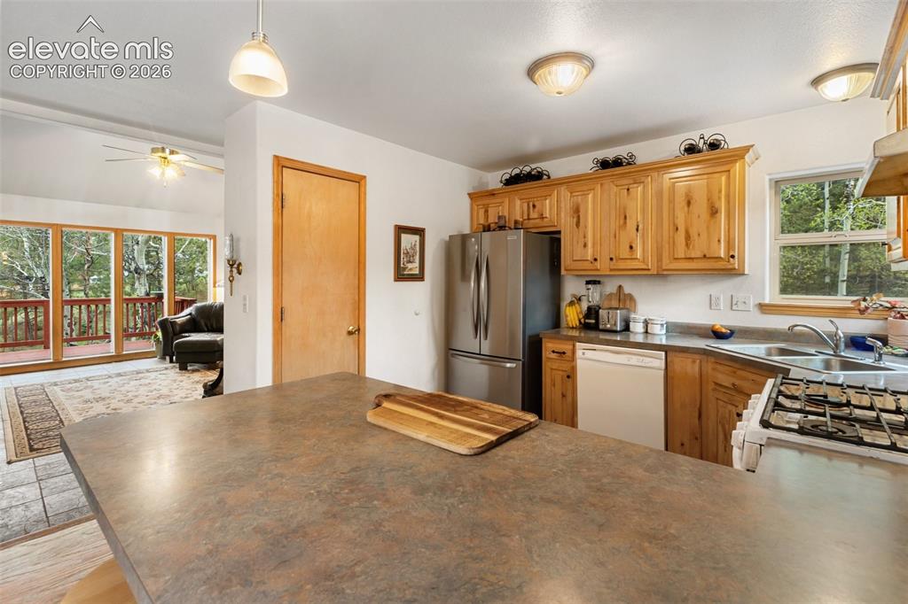 996 Spring Valley Drive Divide CO 80814