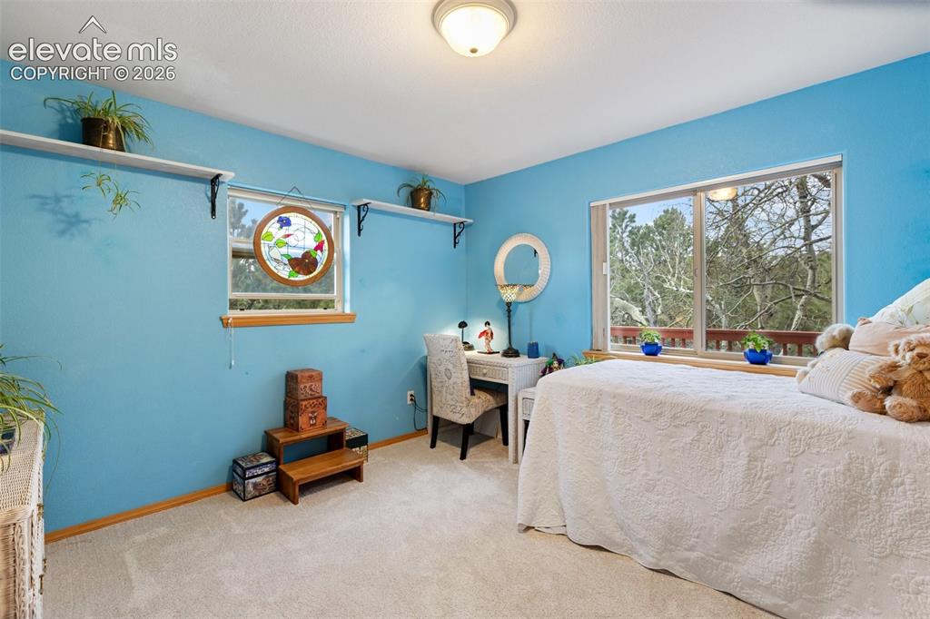 996 Spring Valley Drive Divide CO 80814