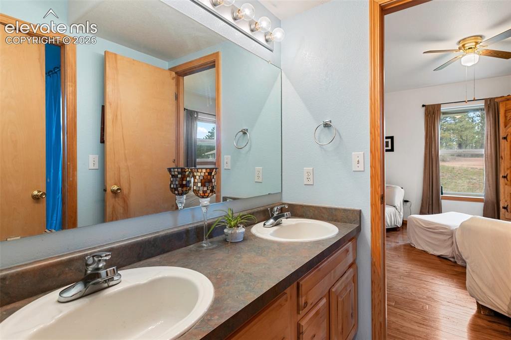996 Spring Valley Drive Divide CO 80814