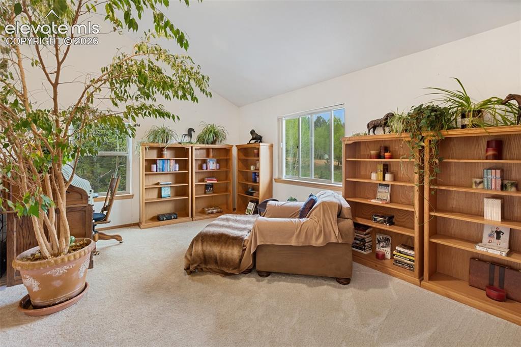 996 Spring Valley Drive Divide CO 80814