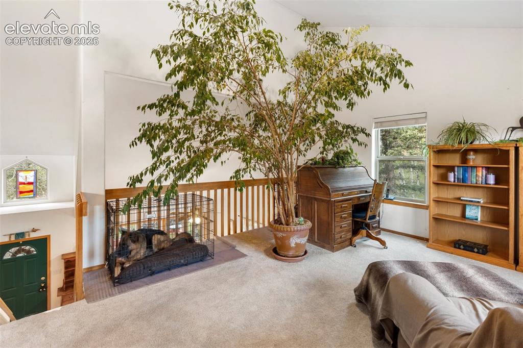 996 Spring Valley Drive Divide CO 80814
