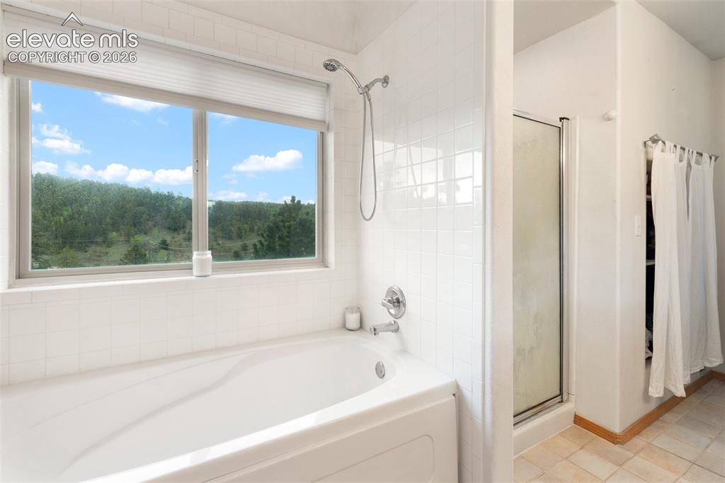 996 Spring Valley Drive Divide CO 80814