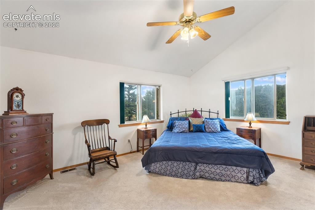 996 Spring Valley Drive Divide CO 80814