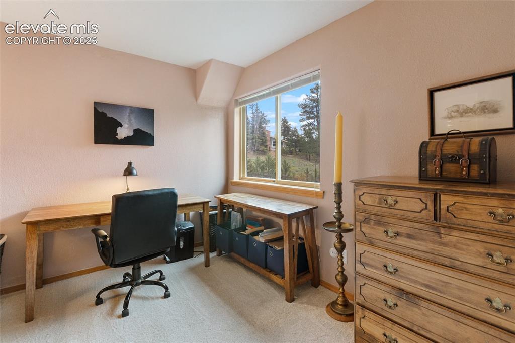 996 Spring Valley Drive Divide CO 80814