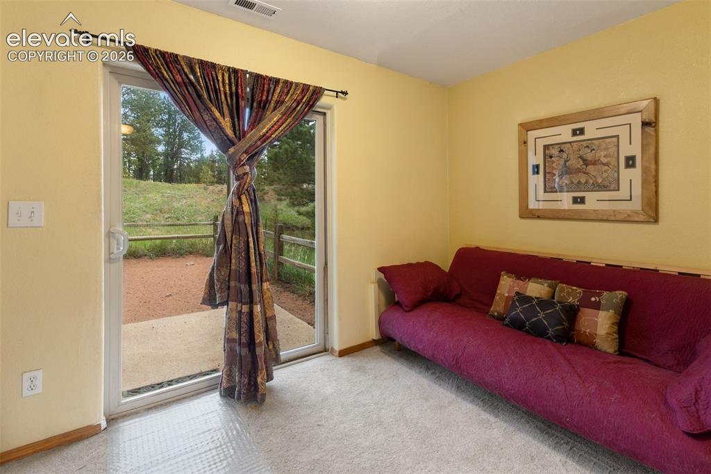 996 Spring Valley Drive Divide CO 80814