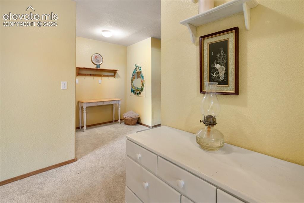 996 Spring Valley Drive Divide CO 80814