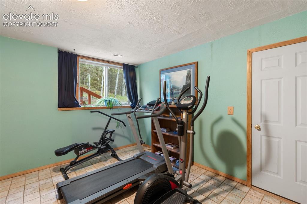 996 Spring Valley Drive Divide CO 80814