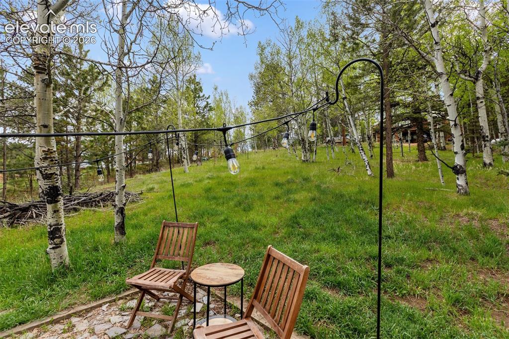 996 Spring Valley Drive Divide CO 80814