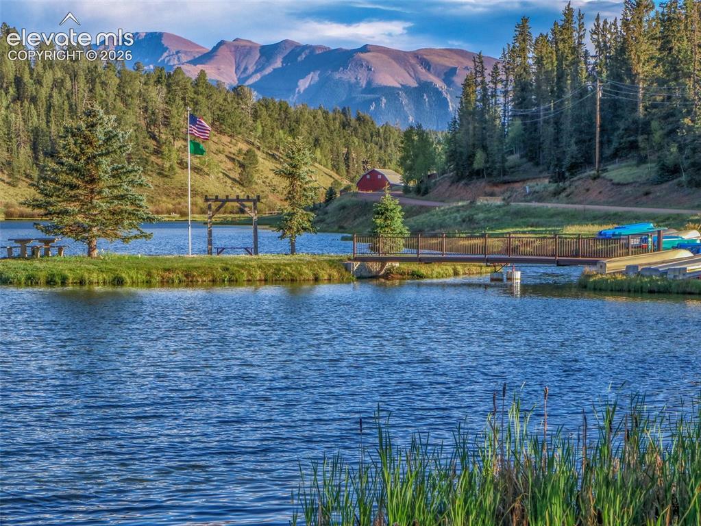 996 Spring Valley Drive Divide CO 80814