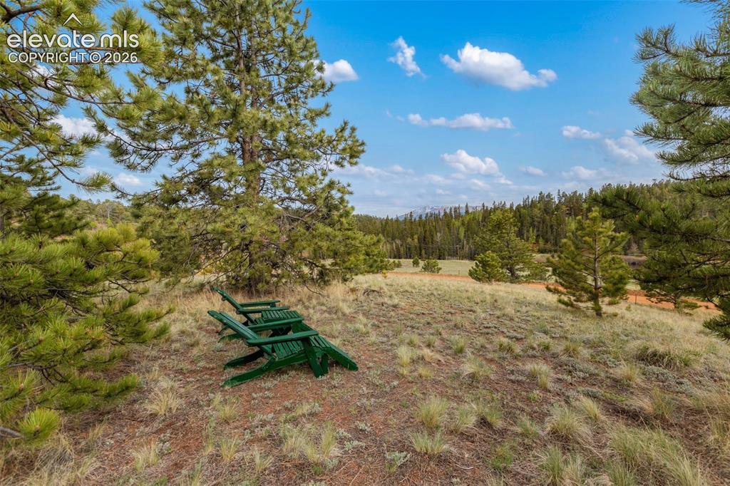 996 Spring Valley Drive Divide CO 80814