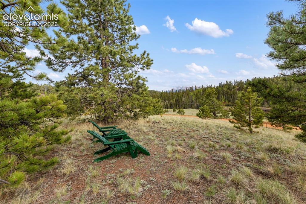996 Spring Valley Drive Divide CO 80814