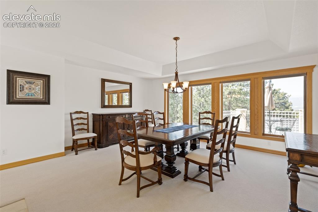 1145 Cambrook Court Monument CO 80132