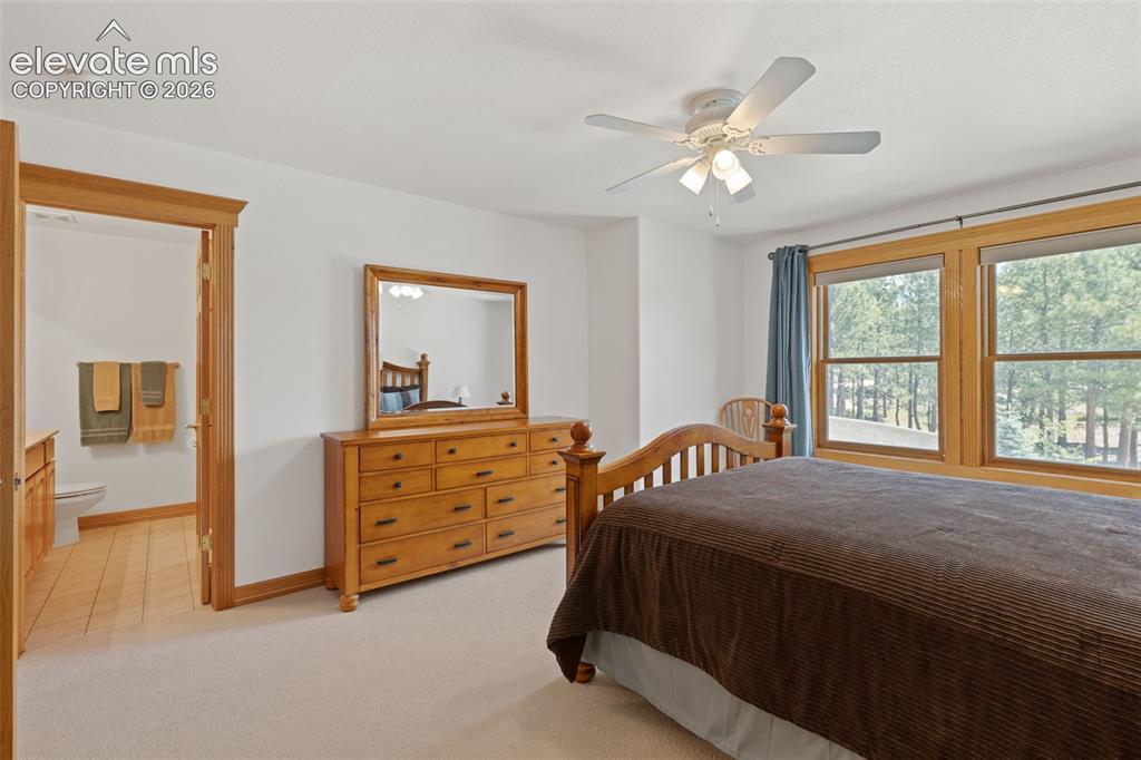1145 Cambrook Court Monument CO 80132