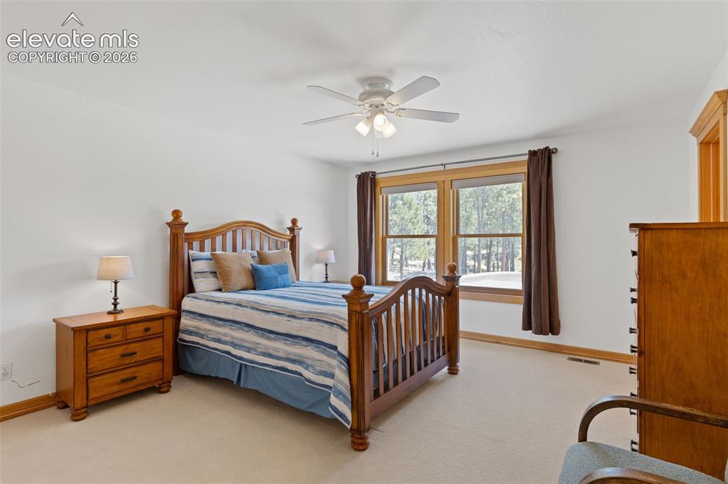 1145 Cambrook Court Monument CO 80132