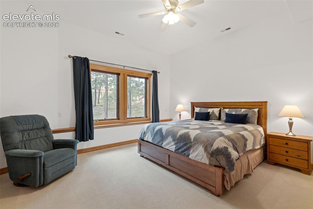 1145 Cambrook Court Monument CO 80132