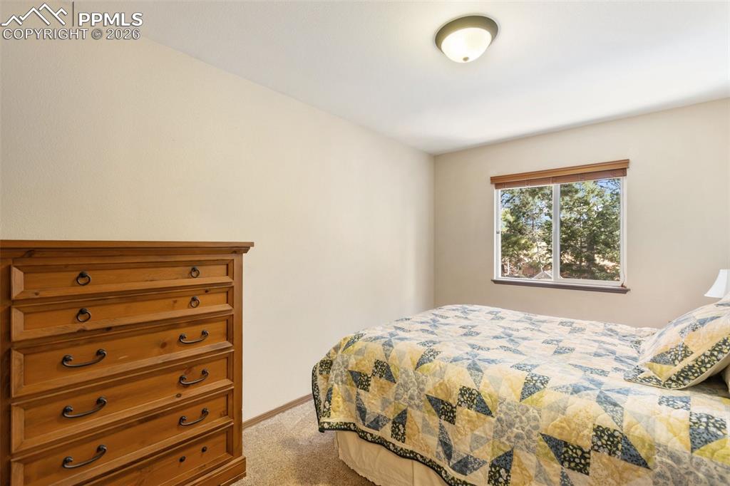 681 Misty Pines Circle Woodland Park CO 80863