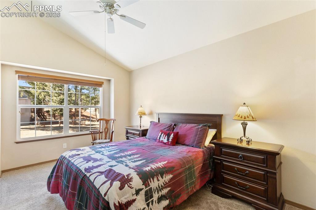 681 Misty Pines Circle Woodland Park CO 80863